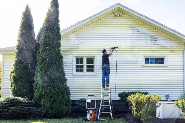 Solar Panel Cleaning in West Union, IA